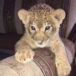 @martirossaryan_1953 - Instagram
