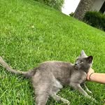 Martita Hernandez - @martita2837 - Instagram