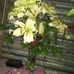 Martita Martinez - Facebook
