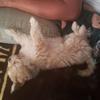 Martita Moreno - @martitamoreno0 - TikTok