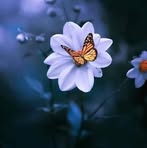 Martita Ortiz - Facebook