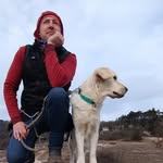 Márton Szabó - @trail_dogs_pilis - Instagram