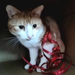 Martti Ahtisaari - @karvinen_55 - Instagram