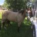 Marty Abercrombie - Facebook