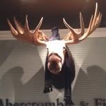 Marty Fred Abercrombie - @martydamoose - Instagram