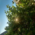Marty Ackerman - @marty.ackerman - Instagram