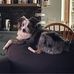 Marty Adams - Facebook