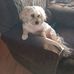 Marty Adams - Facebook