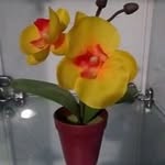 Marty Aguilar - @marty.aguilar.904108 - Instagram