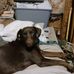 Marty Albert - Facebook