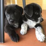 Marty Allen - @bindi_n_bear - Instagram