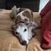 Marty Allison - Facebook