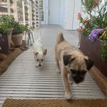 Marty & Angus Alston-Boyd - @martyandangus - Instagram