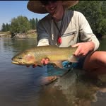 Marty Anderson - @stankywaders - Instagram