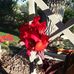 Marti Anfinson - Facebook