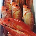 Martin Aragon - @pescados_m.aragon - Instagram