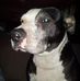 Marty Armstrong - Facebook
