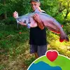 martyarmstrong68 - @martyarmstrong68 - TikTok