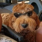 Marty Armstrong - Facebook