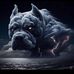 Martin Iberico Arrobo - Facebook
