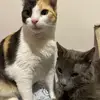 Ávila y Marty 😺 - @avilaandmarty - TikTok