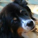Marty Bailey - @marty.bailey.718 - Instagram