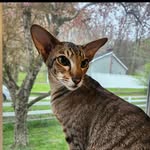 Marty Barnett - @nan_nan1399 - Instagram