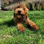 Marty and Barry - @martyandbarry - Instagram
