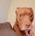 Marty Barton - Facebook