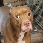 Marty Barton - @marty.barton.144 - Instagram