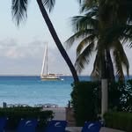 Marty Barton Sterba - @sterba973 - Instagram