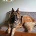 Marty Baxter - Facebook