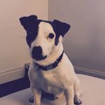 Marty Isaza - @marty_baxter_isaza - Instagram