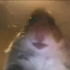 Marty.beach.123.fp - @marty.beach.123.fp - TikTok