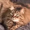 Martin the Veggie Lover - @martybean25 - TikTok