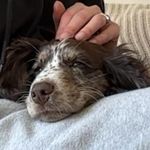 Marty ☠️ - @martybean22 - Instagram