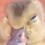 @marty_bean1234 - Instagram