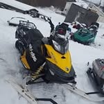 Marty Beans - @marty.beans - Instagram