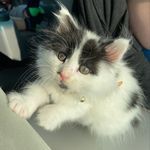 Marty - @marty.bean.boy - Instagram