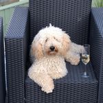 Marty Beard - @martybeard1 - Instagram