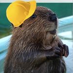 Marty Beaver - @beaver_believers_ - Instagram