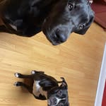 Marty Becker - @marty.becker.165 - Instagram