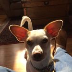 Marty Becker - @martybecker3635 - Instagram