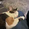 Marty Bell - @marty.bell6 - TikTok