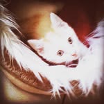marty - @marty_beltrame - Instagram