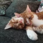 Marty and Bennett - @martybennett2023 - Instagram