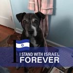 Marty Berkowitz - @marty.berkowitz - Instagram