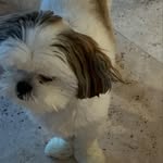 Mr. Nibbles - @martybernardgrand - Instagram