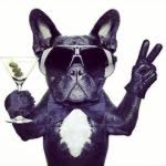 Martin Bernstein - @mfb20 - Instagram