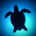 Martin Bernstein - @bernstein.martin - Instagram